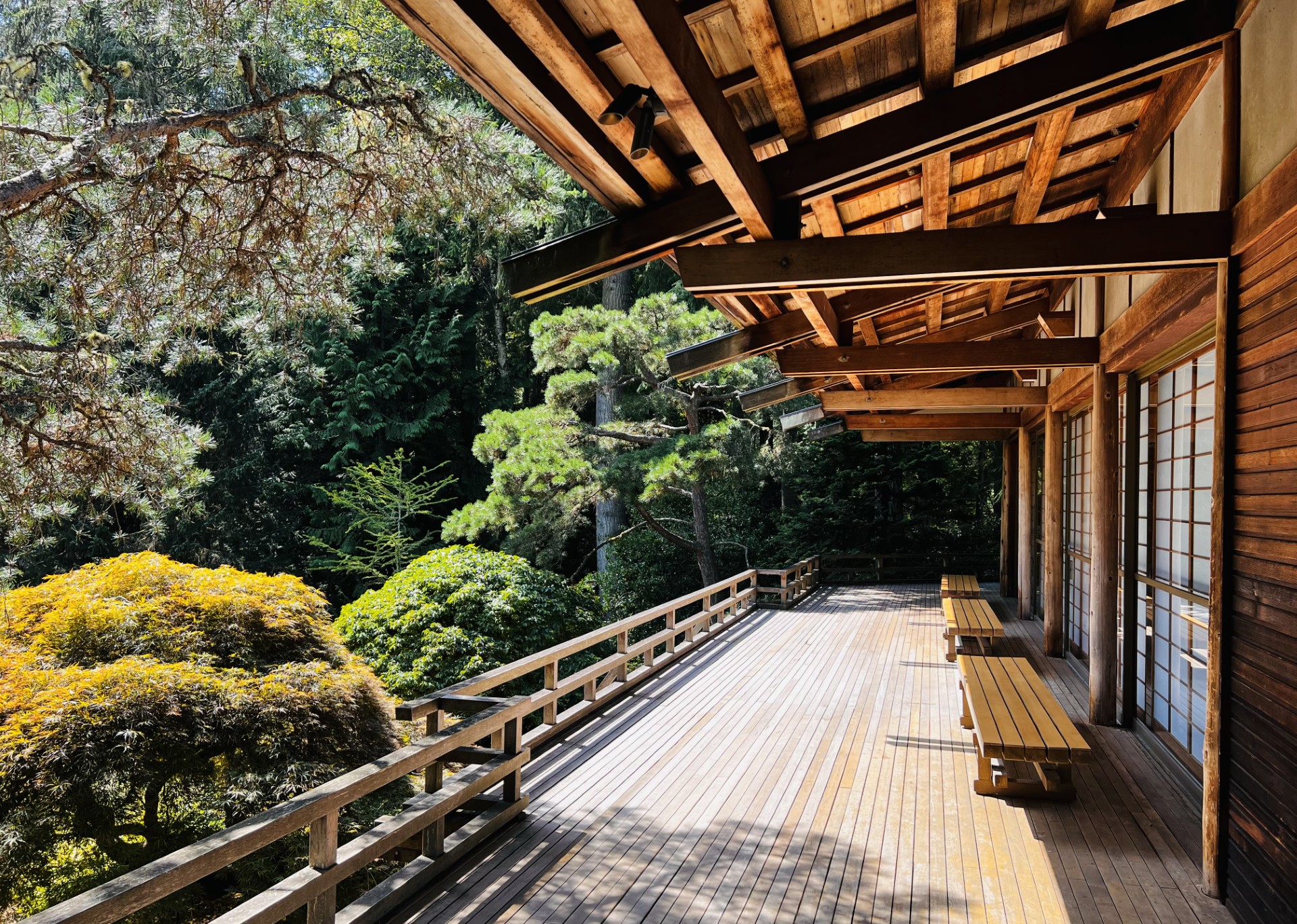 Covered wooden veranda overlooking a forest garden